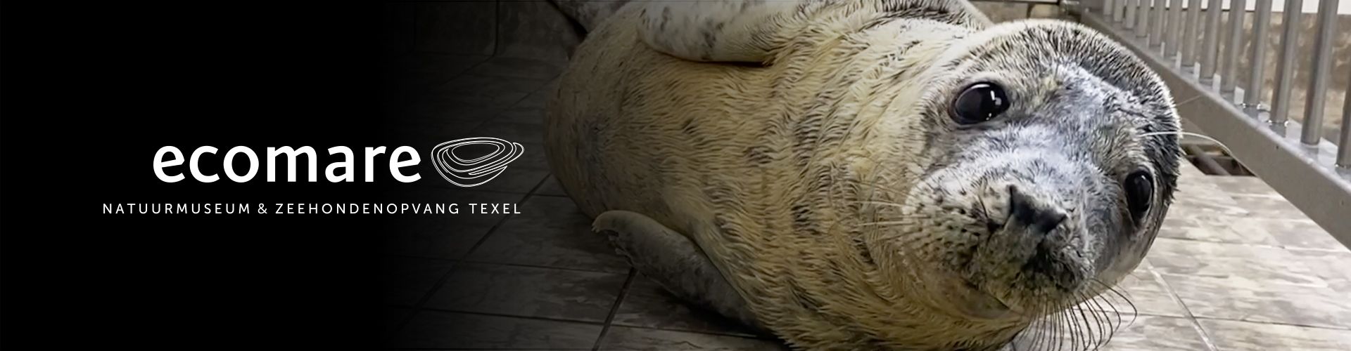 Hero-Banner-1920x500-Onventis-Seal