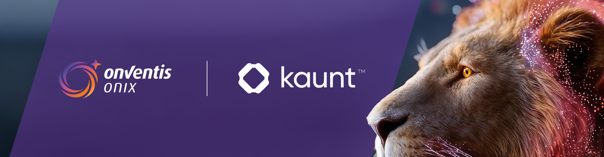 Onventis und Kaunt AI verbinden Invoice Intelligence mit AP Automation (1)